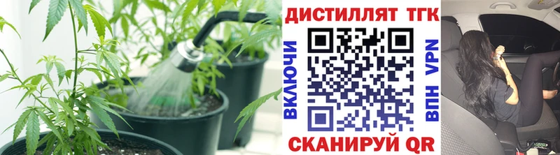 ТГК гашишное масло  Купить закладки  Елабуга 