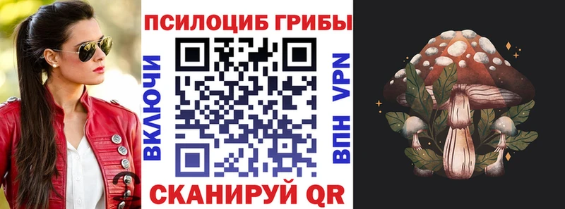 Галлюциногенные грибы Psilocybe  Купить где  Елабуга 